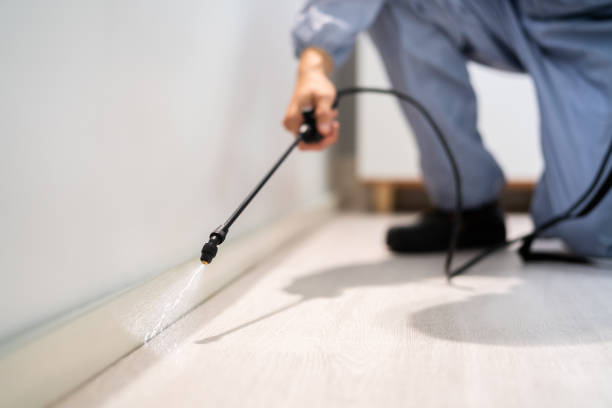Licensed Pest Control service in Oakland Park, FL - Show Me Pest Control