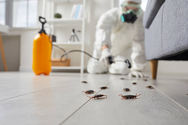 Commercial Kitchen Cockroach Control in Oakland Park